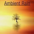 17 Ambient Rain Noises for Sleep & Spa