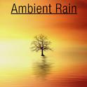 17 Ambient Rain Noises for Sleep & Spa专辑