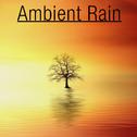 17 Ambient Rain Noises for Sleep & Spa专辑