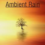 17 Ambient Rain Noises for Sleep & Spa专辑