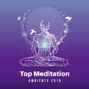 Top Meditation Ambients 2019专辑