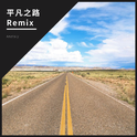 平凡之路Remix专辑