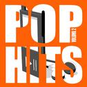 Pop Hits Vol 2专辑