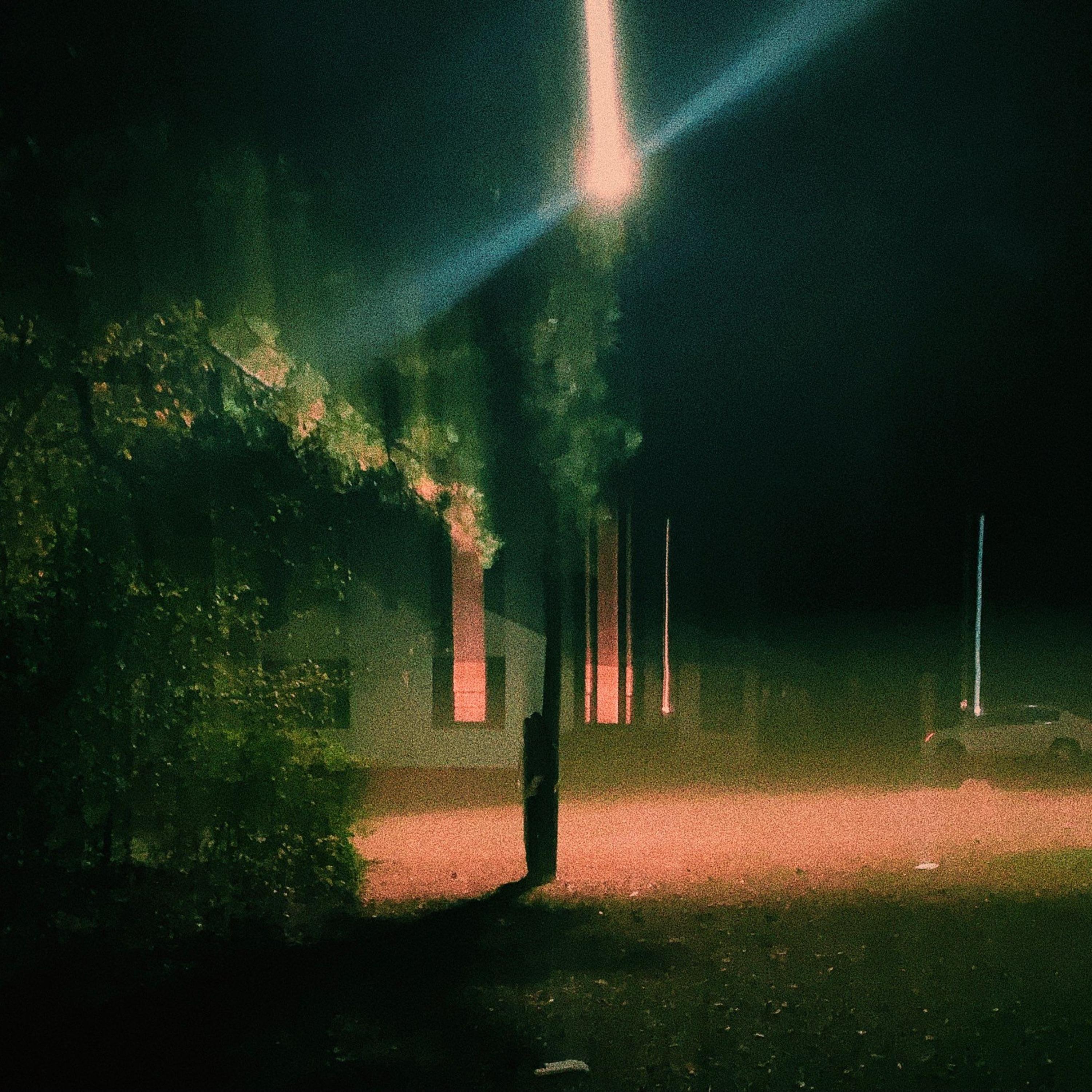 fools paradise (feat. Krish)
