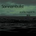 Somnambulist