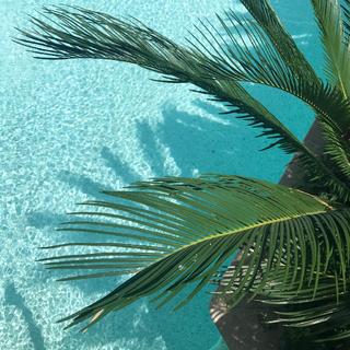 安静适合写作业睡觉的纯音乐