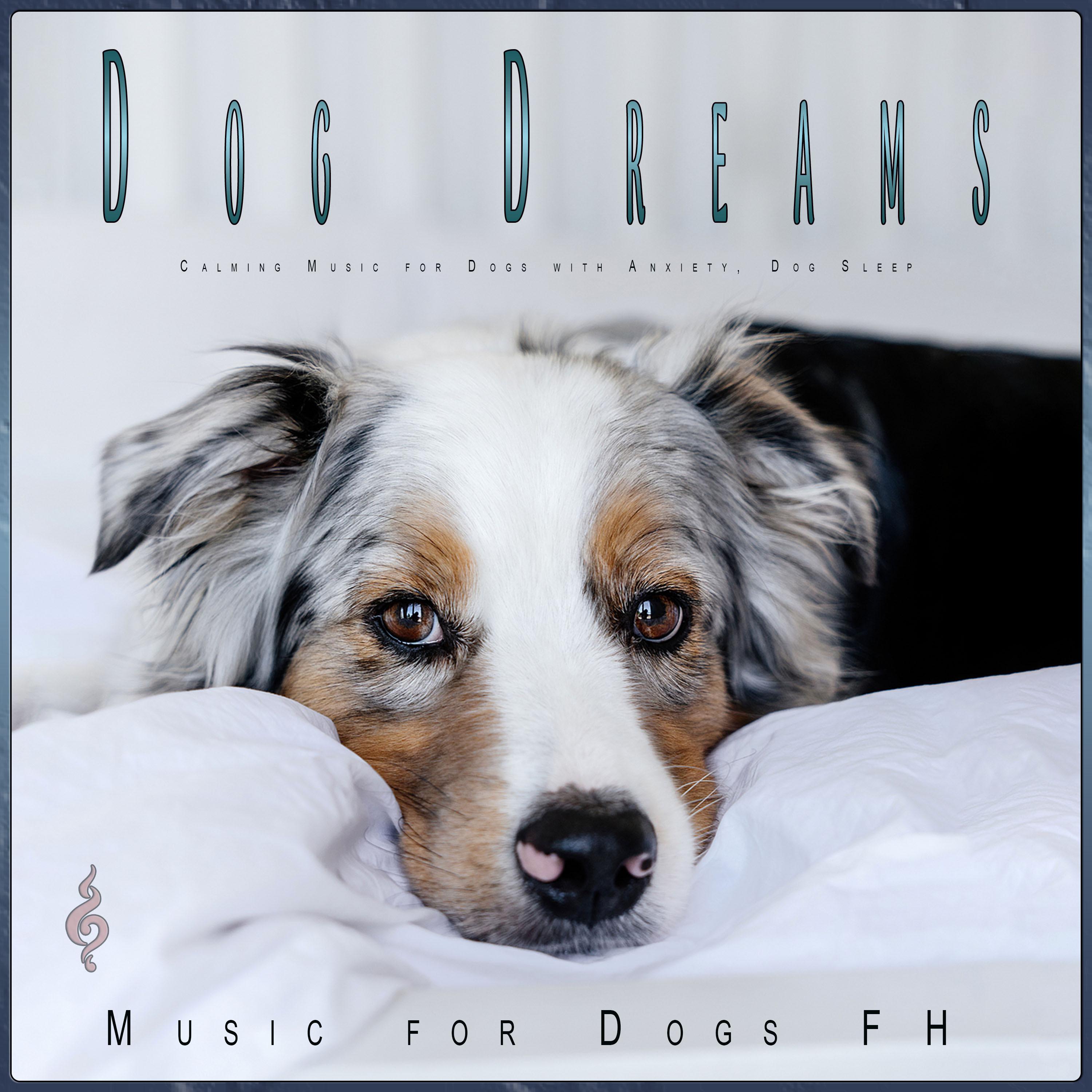 Dog Music Dreams - Calm Guitar Music For Dogs