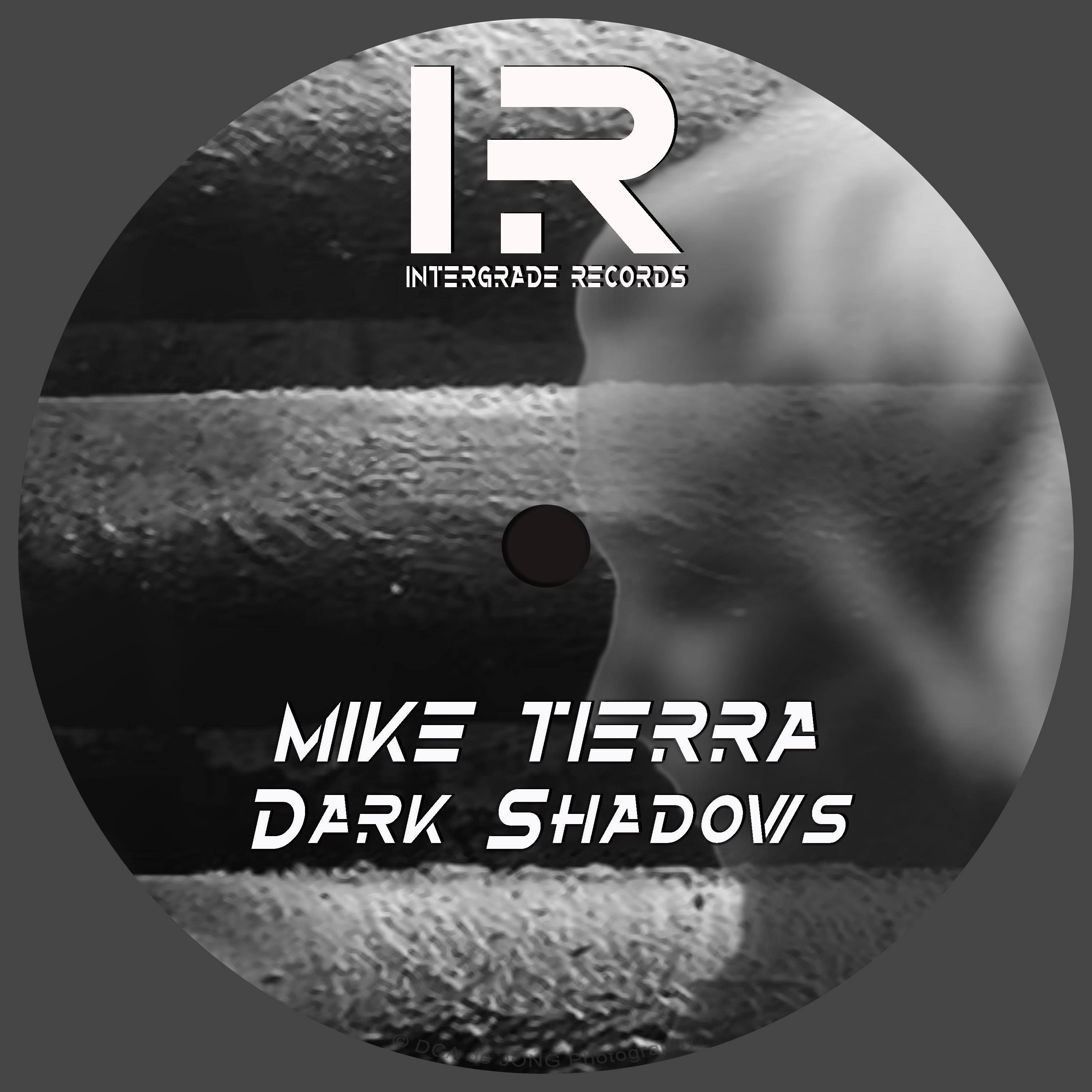 Dark Shadows