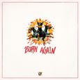 Born Again