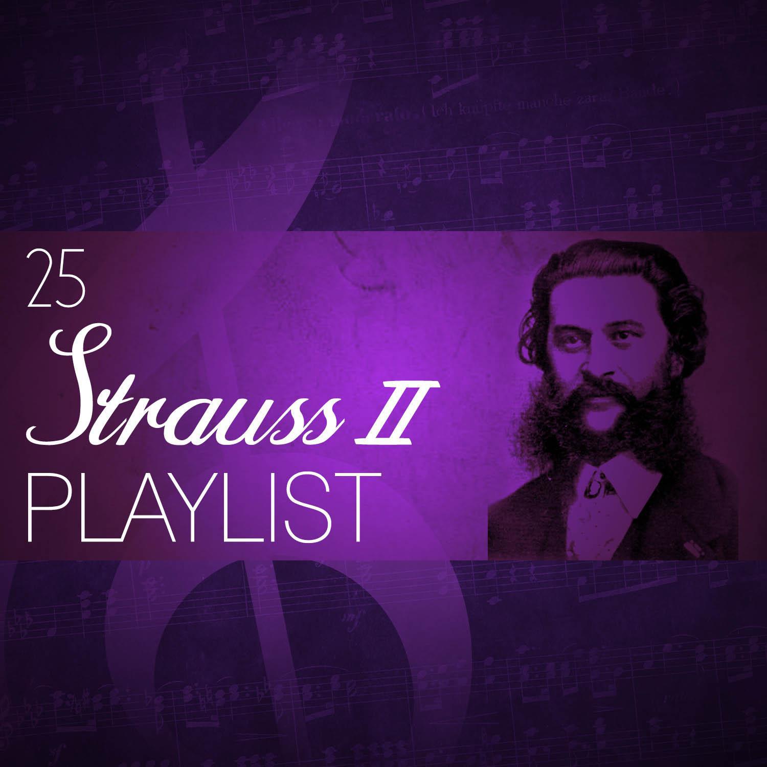 25 Strauss II Playlist专辑