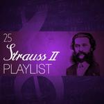 25 Strauss II Playlist专辑