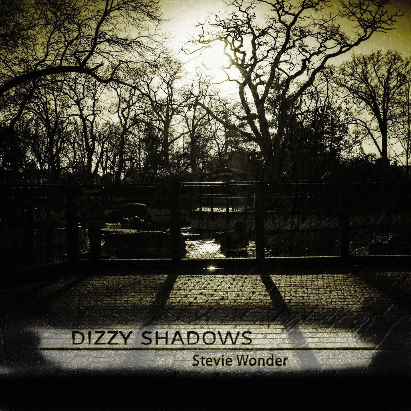 Dizzy Shadows专辑