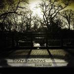 Dizzy Shadows专辑