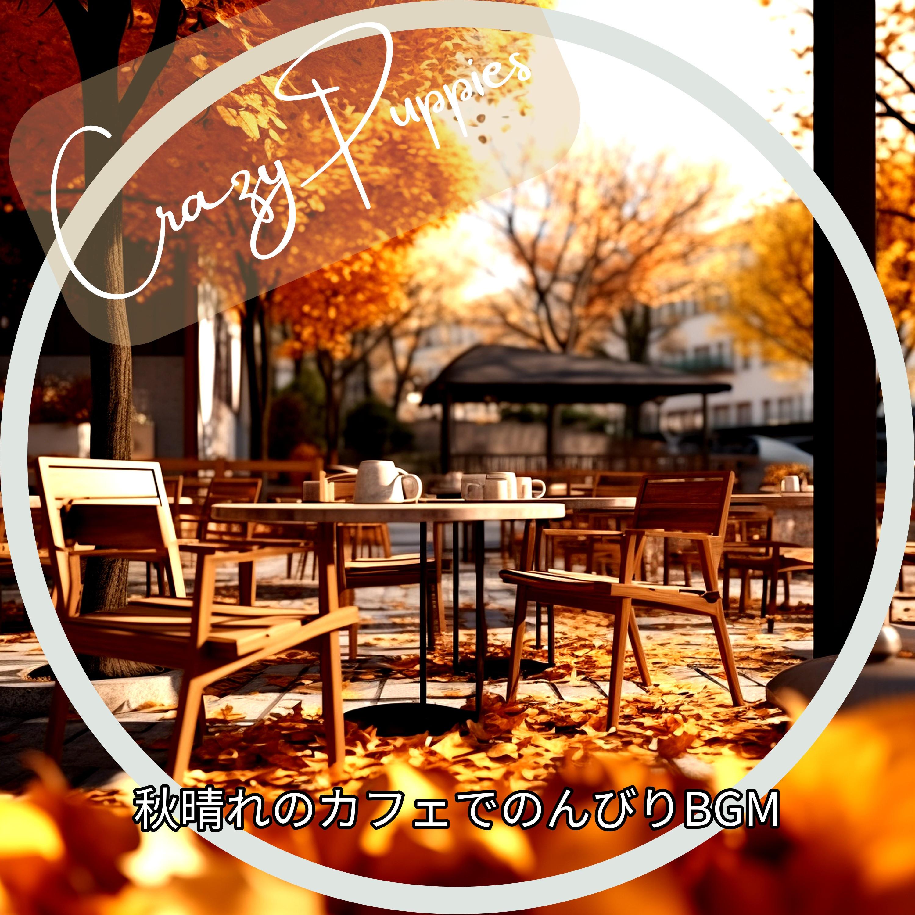 Warm Wheat Woods Wander