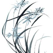 花枝春野