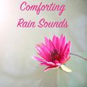 17 Comforting Rain Sounds - Ideal Sleeping Companion专辑