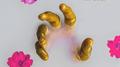 My Gold专辑