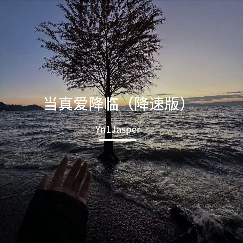 当真爱降临（降调版）