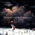 The world is not real in your eyes