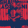 Shaun Mecca - Focused