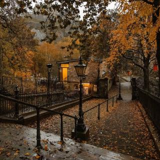 Autumn Vibe｜秋日巷陌 枫叶簌落的寂寥氛围