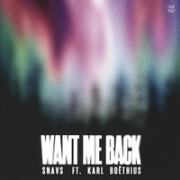 Snavs ft Karl Boethius - Want Me Back (Instrumental) 原版无和声伴奏