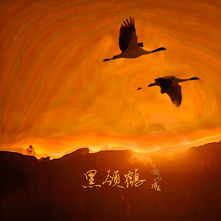 张文成 - 黑颈鹤 伴奏
