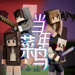 当年菜鸟(【Minecraft拜年祭】2020-万梦云集)