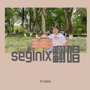 seginix-Elyar Anwar