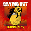 7집 FLAMING NUTS专辑