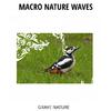 Wave of Bliss Ocean Music - Fresh Nature Water