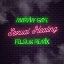 Sexual Healing (Felguk Remix)专辑