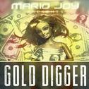 Gold Digger (Ian Burlak Official Remix)专辑