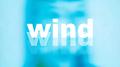 WIND专辑