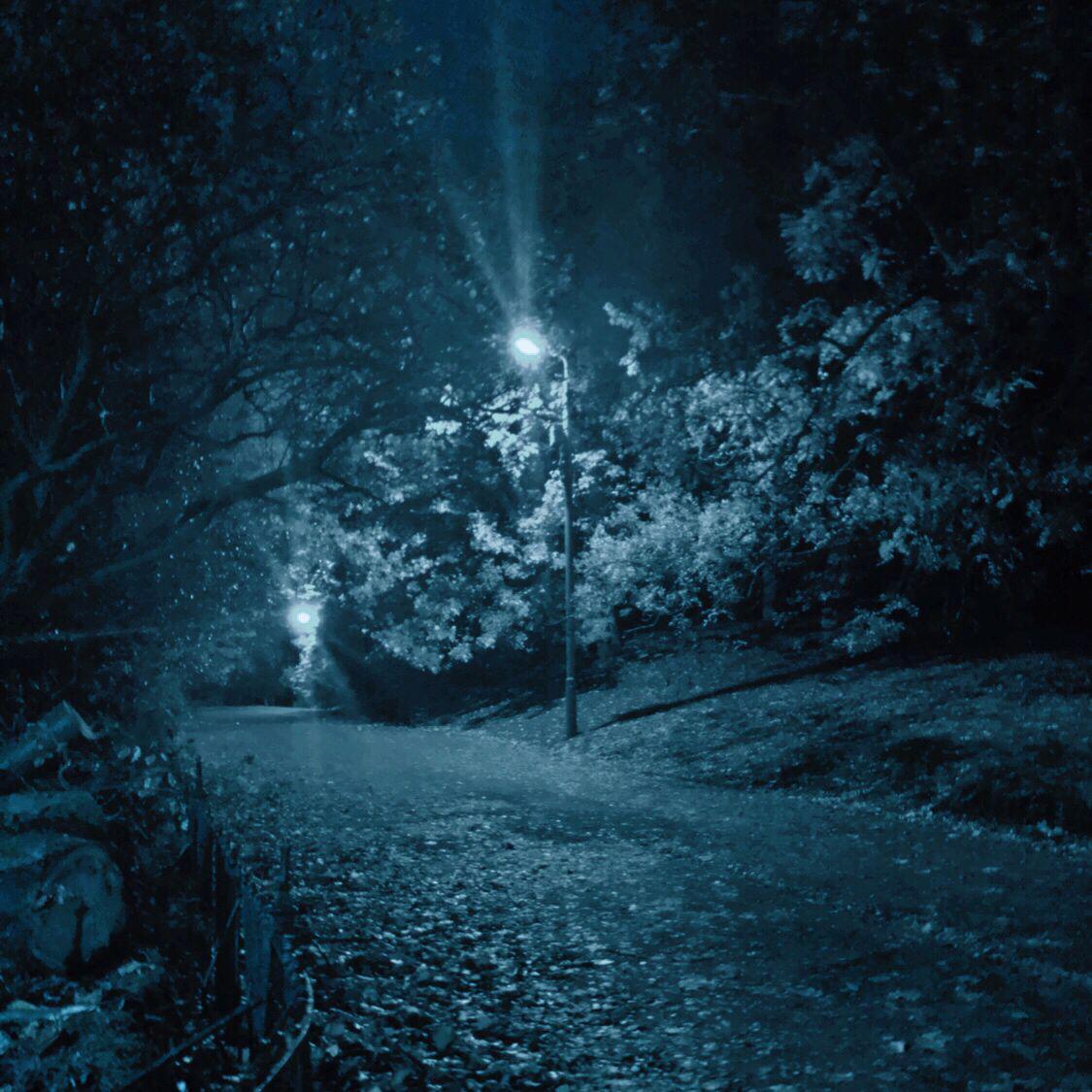 The hazy dreamland