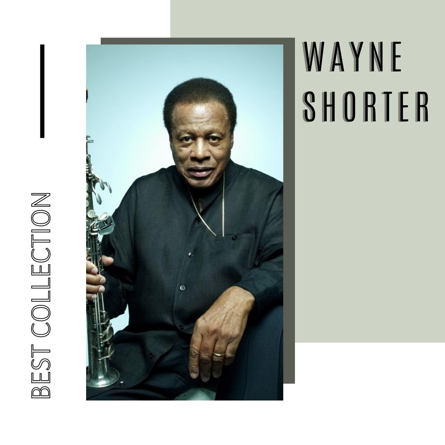 Best Collection Wayne Shorter