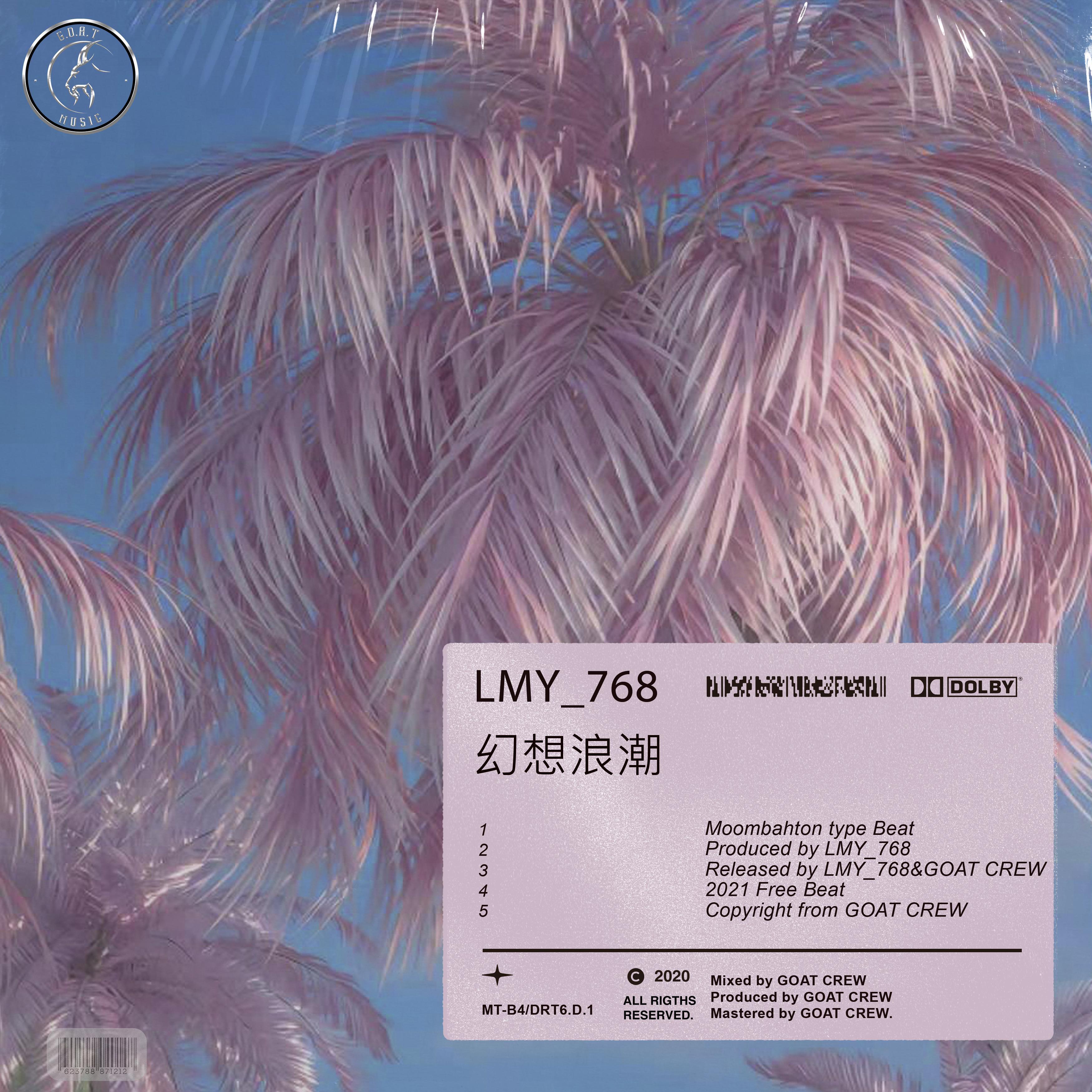 "幻想浪潮" moombahton type beat by LMY_768