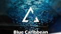 Blue Caribbean专辑