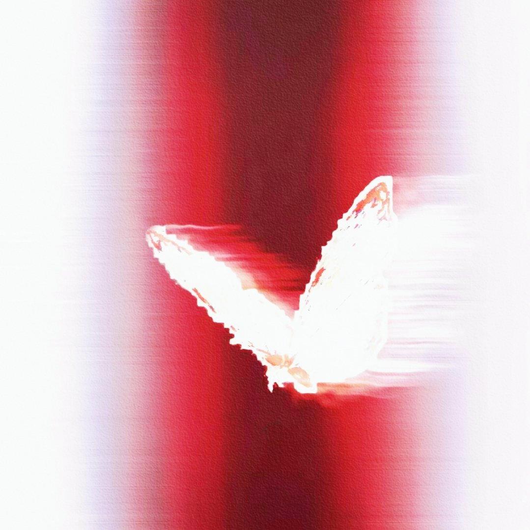 幸福过