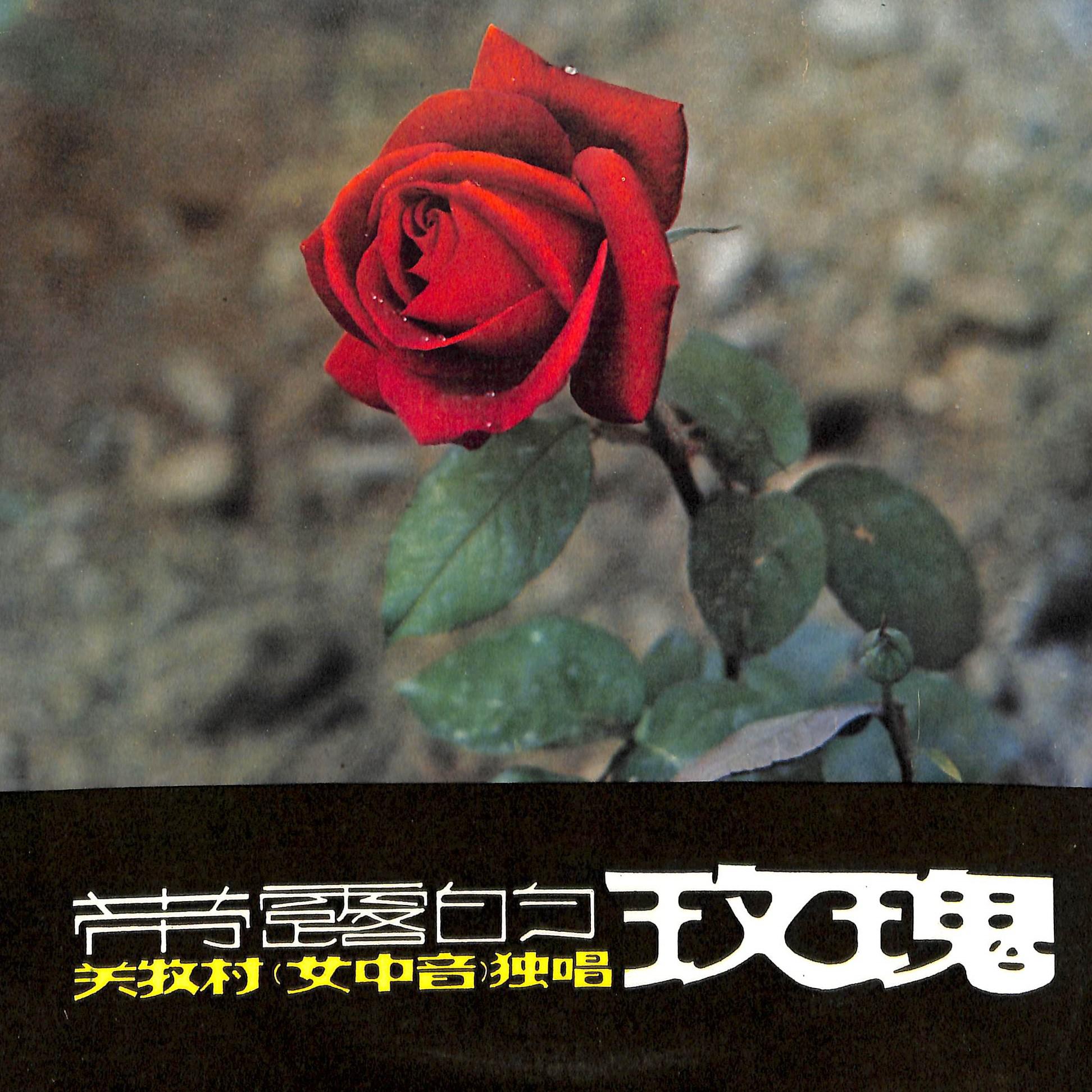 关牧村歌曲封面