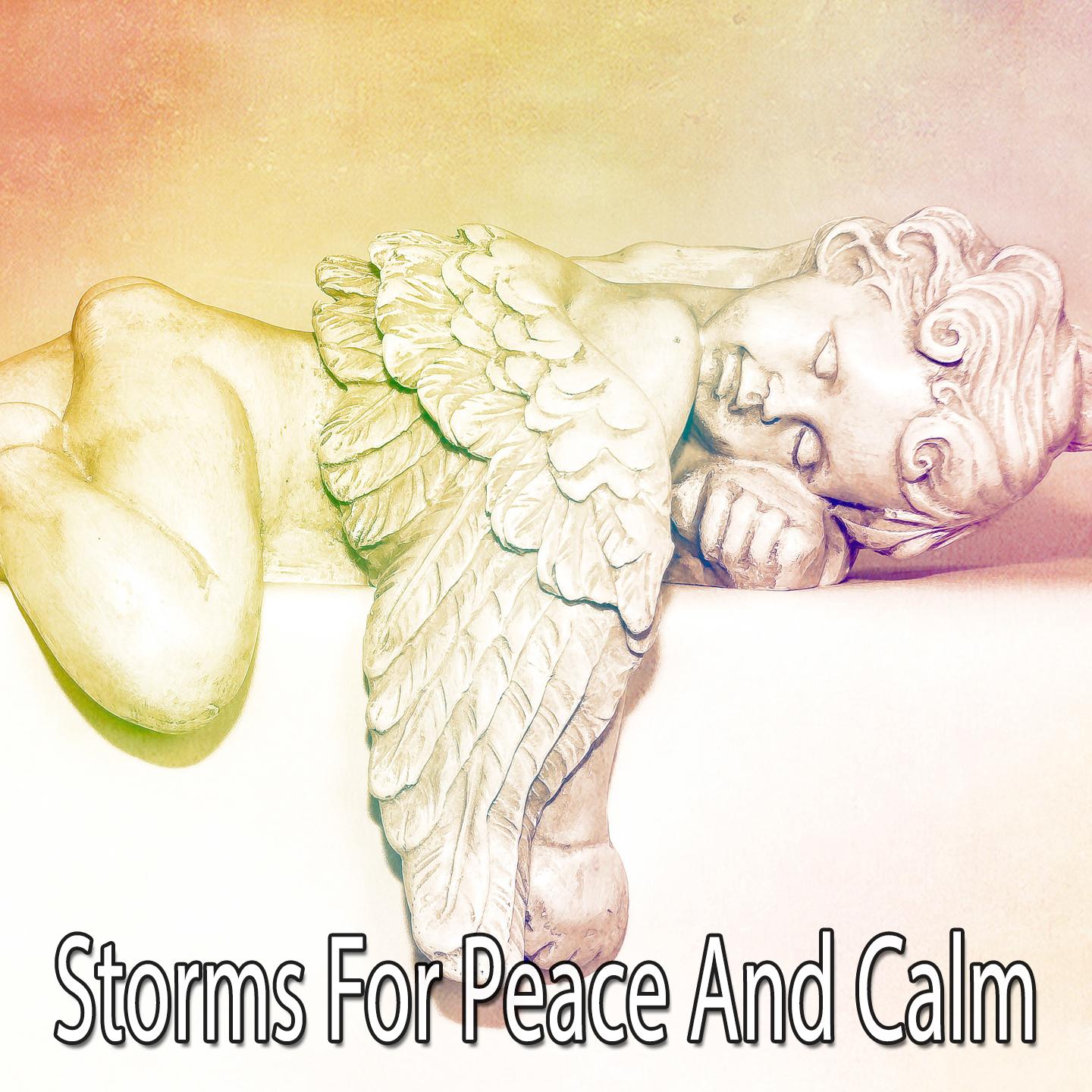 Storms For Peace And Calm专辑