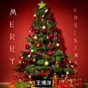 MERRY CHRISTMAS专辑