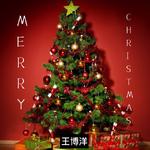 MERRY CHRISTMAS专辑