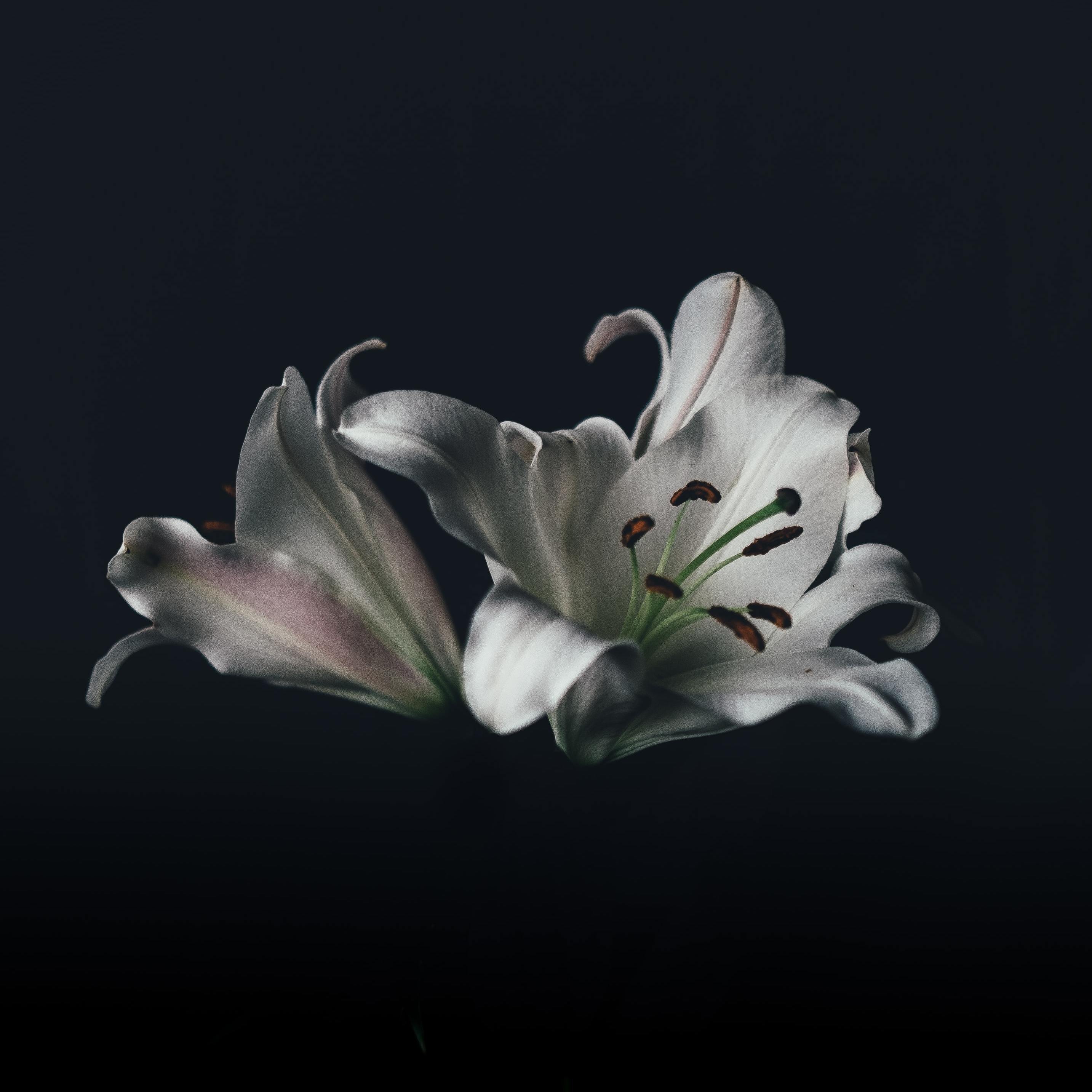 【Free Beat】'Funeral'