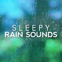 Sleepy Rain Sounds专辑