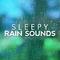 Sleepy Rain Sounds专辑