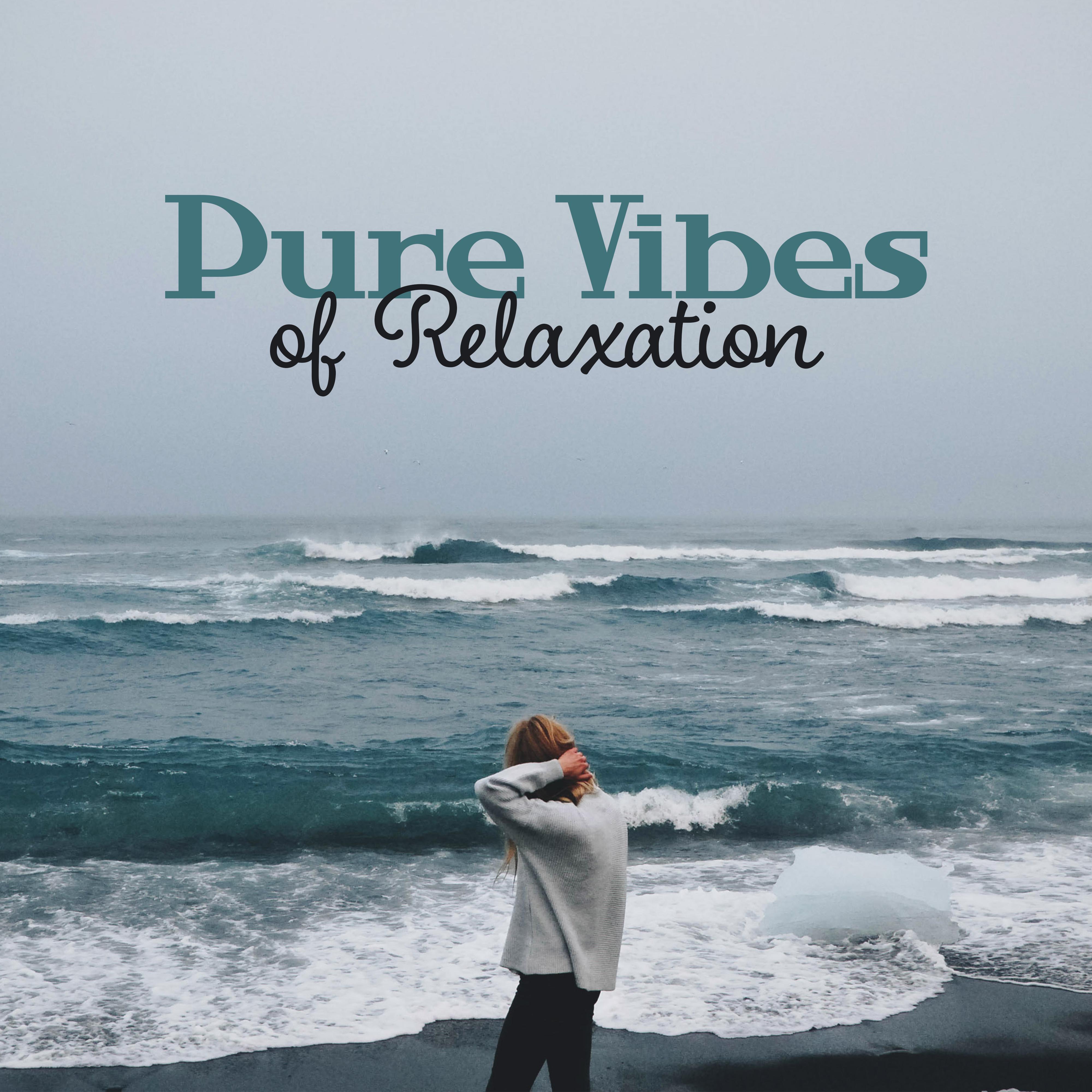 Pure Vibes of Relaxation专辑