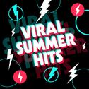 Viral Summer Hits 2024专辑