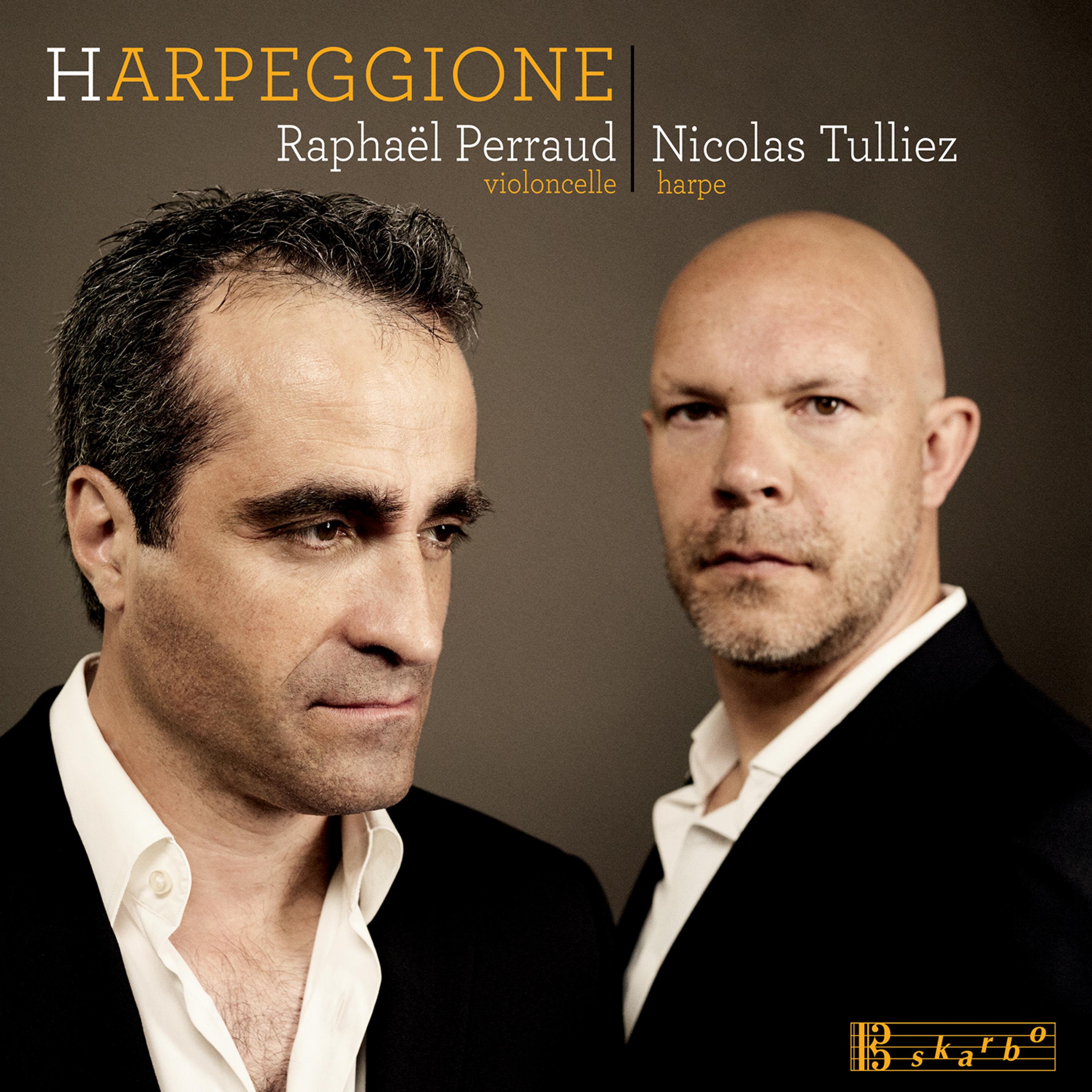 Arpeggione Sonata in A Minor, D. 821, "Arpeggione" (arr. N. Tulliez for cello and harp):I. Allegro moderato