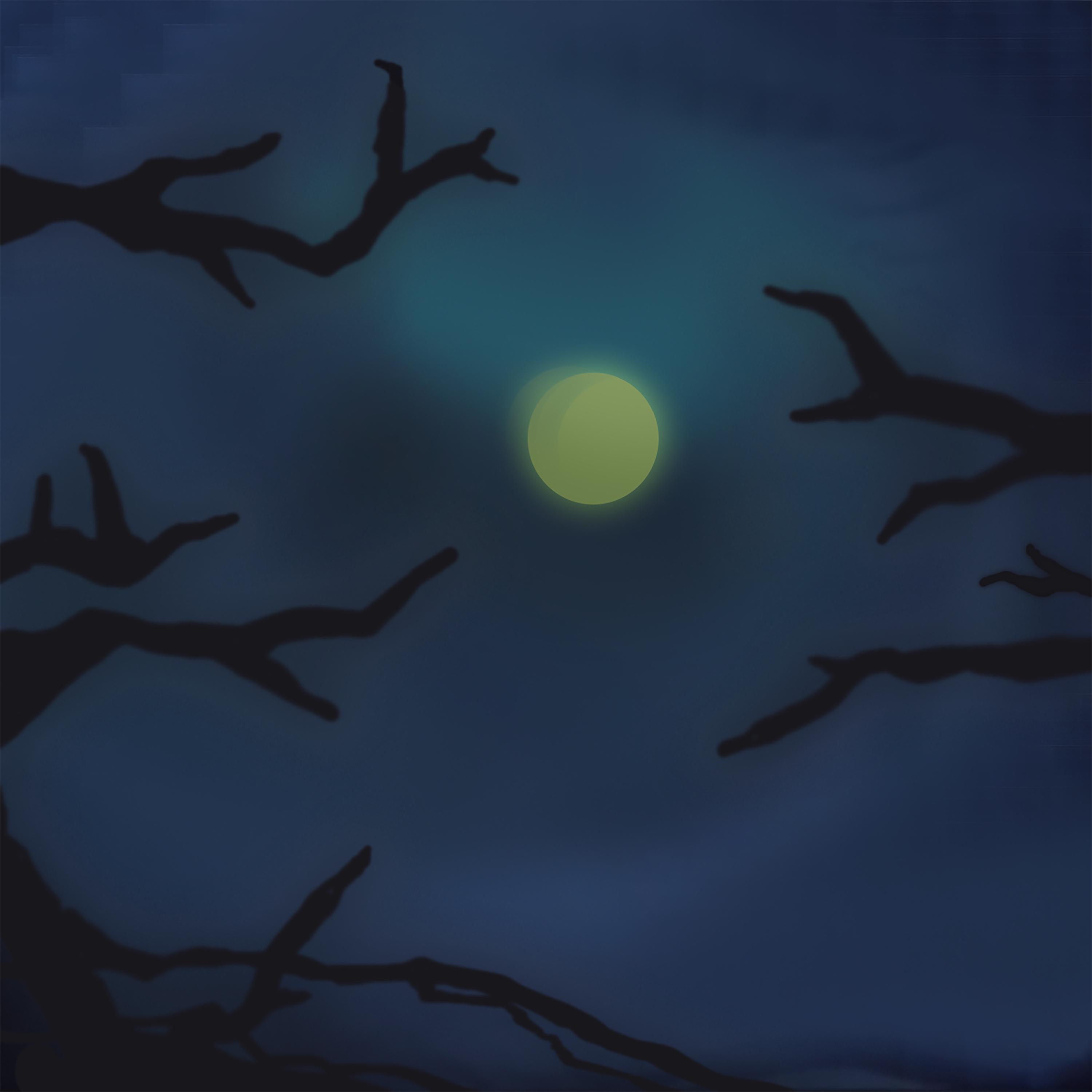 IN THE DARK